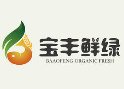 宝丰仙绿logo设计.png